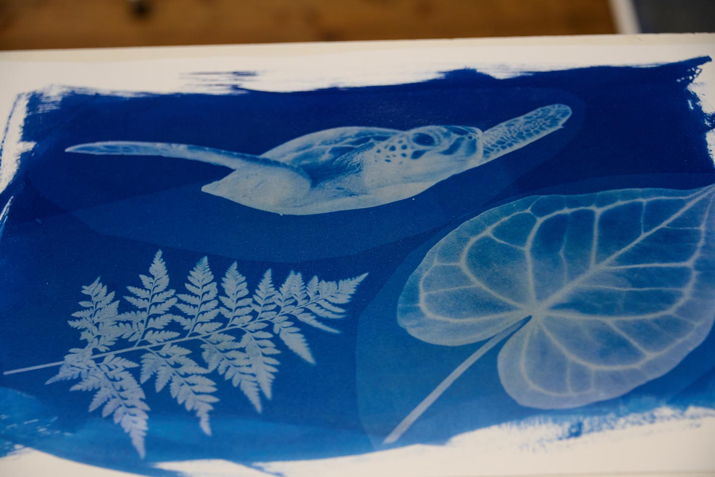 Cyanotype for Kids - Image 5