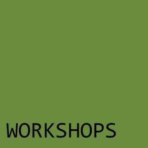 Workshop